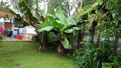 Villa Verde (D23), Terrace #145396312